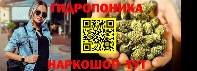 apvp Кимры