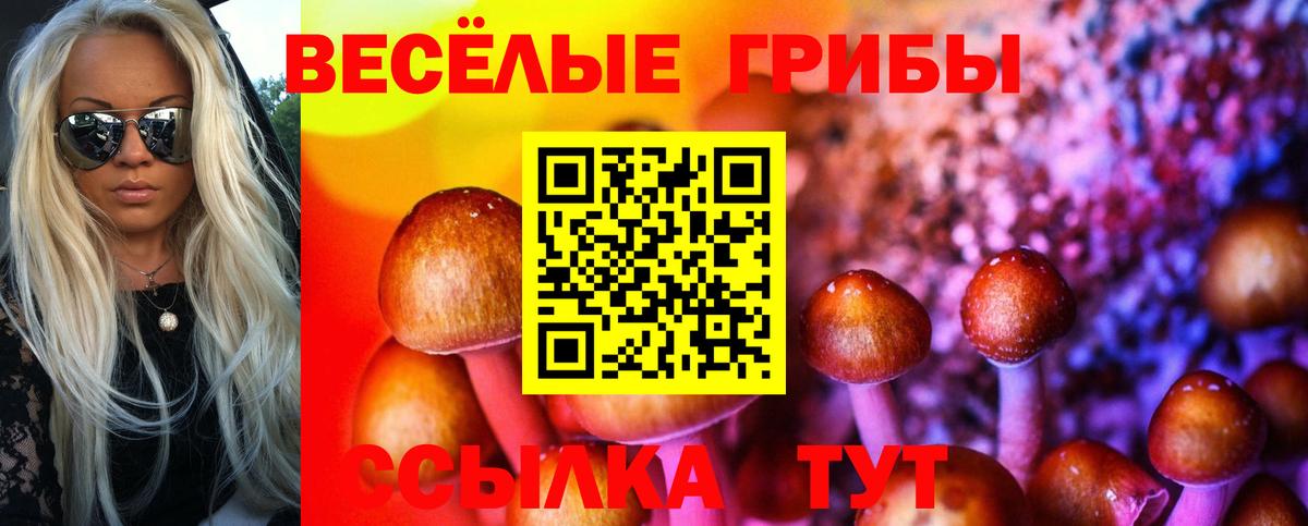 Галлюциногенные грибы Magic Shrooms Краснокаменск